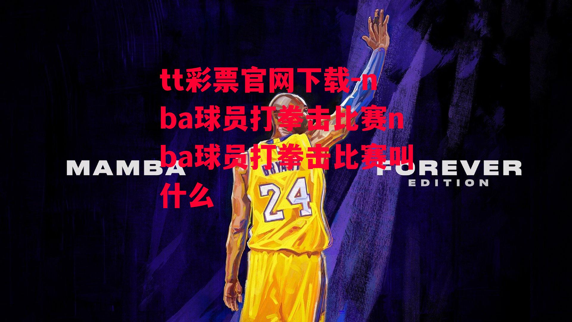 nba球员打拳击比赛nba球员打拳击比赛叫什么